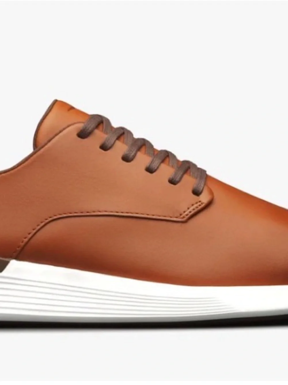 Wolf & Shepherd Crossover Longwing